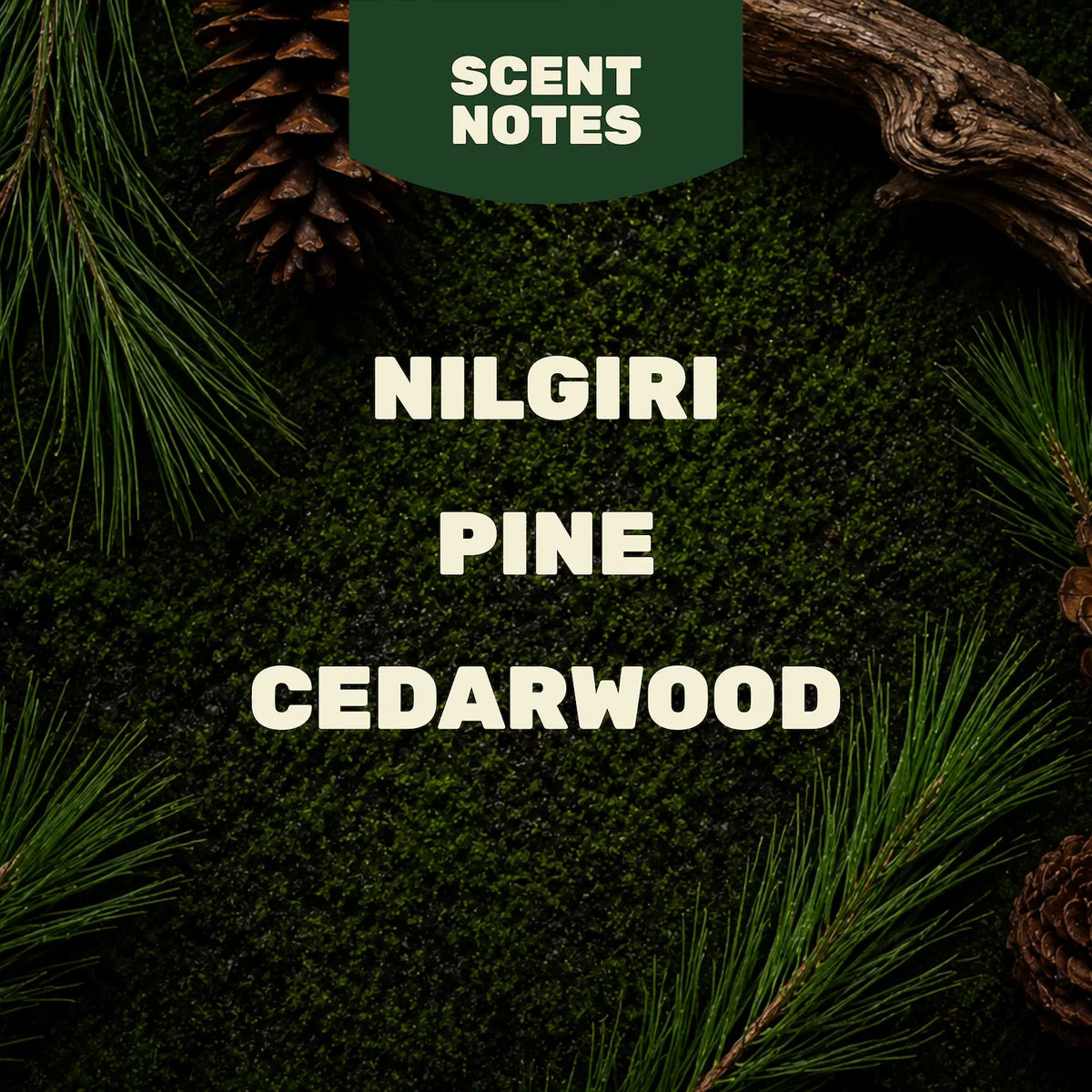 Onyx Pine