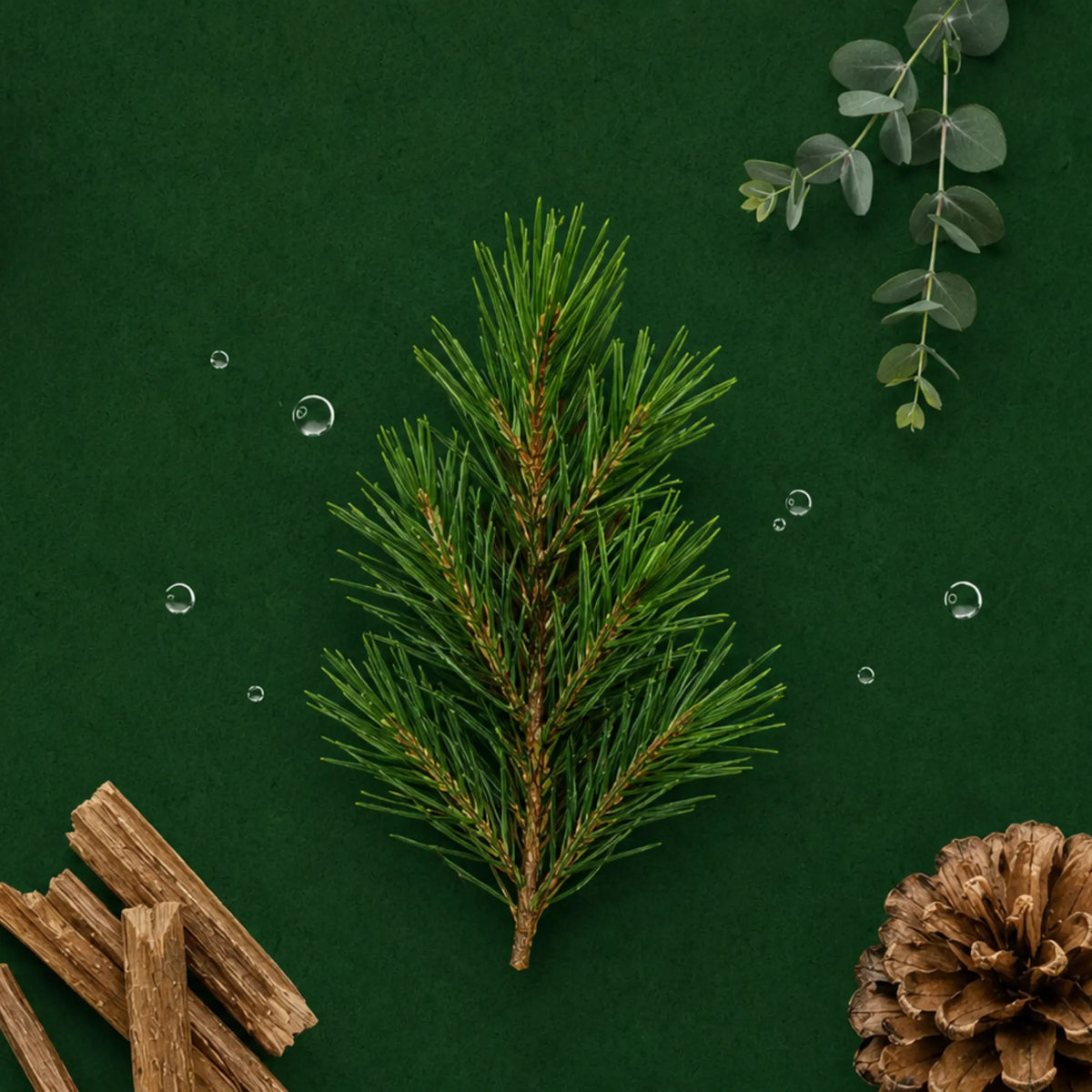 SMOKED PINE